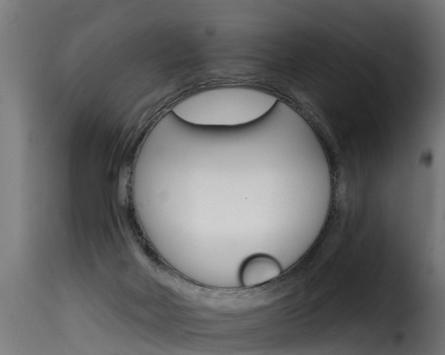 X0000116110026200911231005