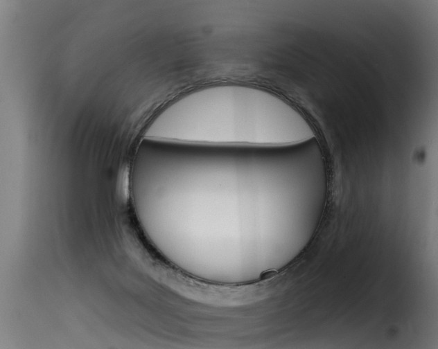 X0000116110027200911231005