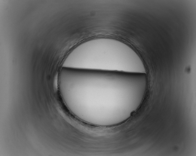 X0000116110028200911231005