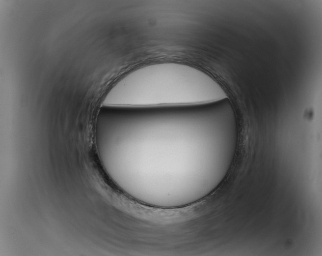 X0000116110031200911231005