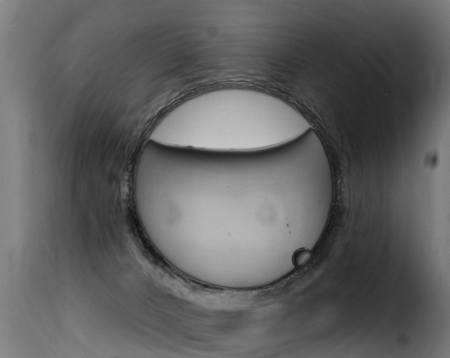 X0000116110032200911231005