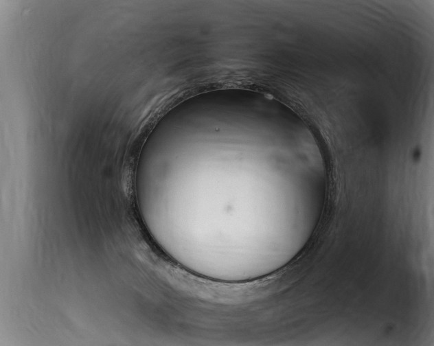 X0000116110035200911231005