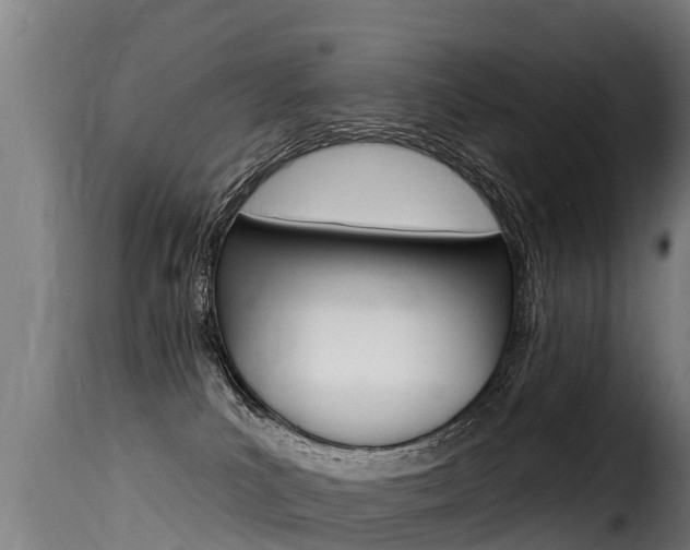 X0000116110039200911231005