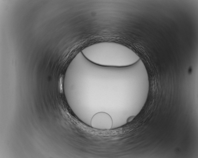 X0000116110042200911231005