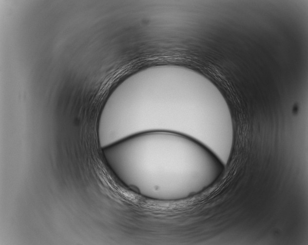 X0000116110045200911231005