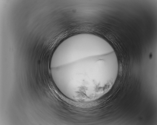 X0000116110046200911231005