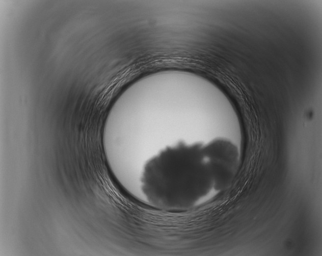 X0000116110048200911231005