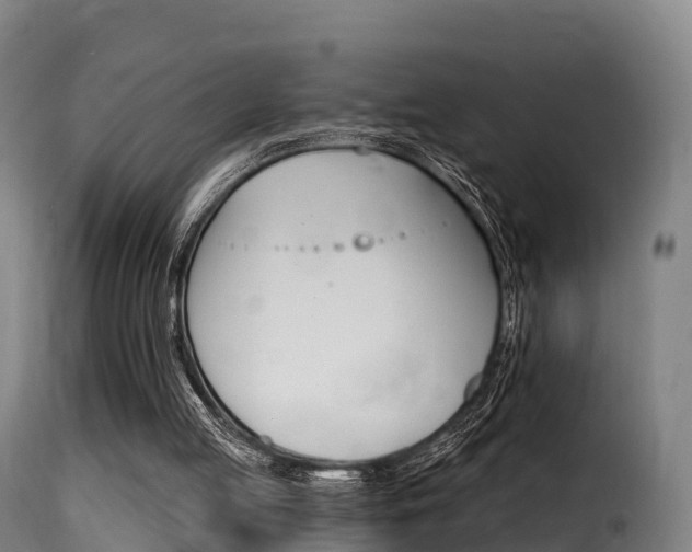 X0000116110053200911231004