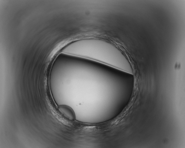 X0000116110054200911231004