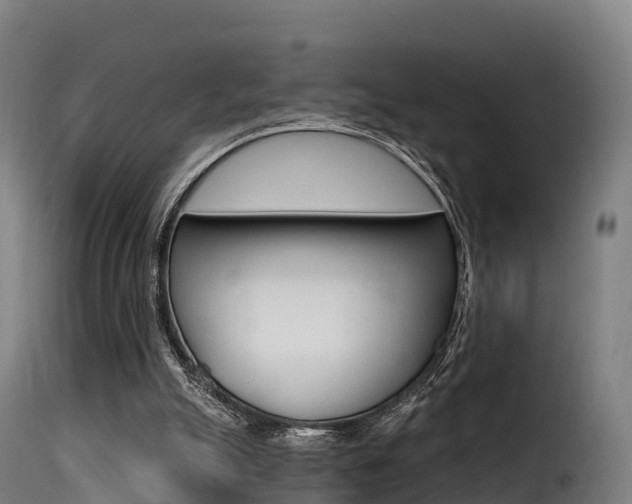 X0000116110055200911231004