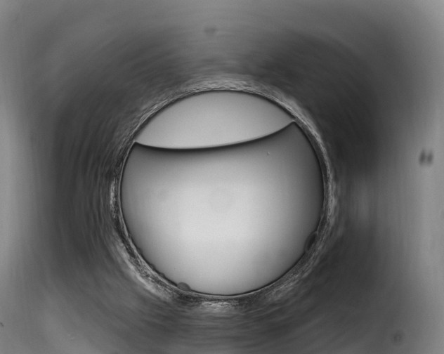 X0000116110057200911231004