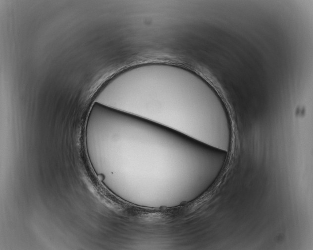 X0000116110058200911231004
