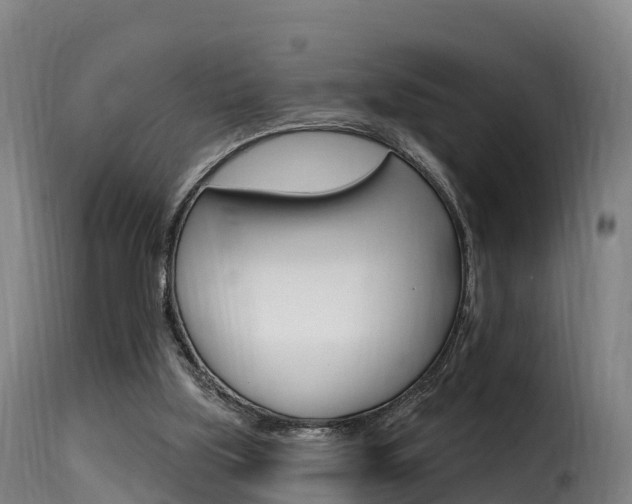 X0000116110059200911231004