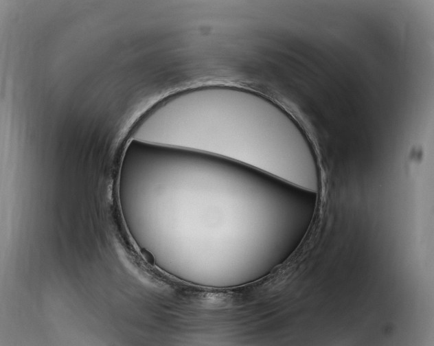 X0000116110060200911231004