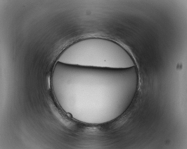 X0000116110061200911231004
