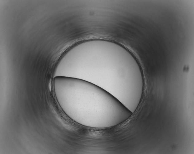 X0000116110062200911231004