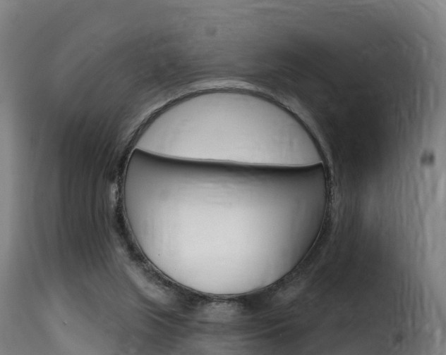 X0000116110063200911231004