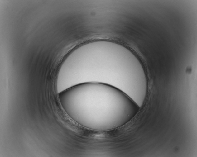 X0000116110068200911231004