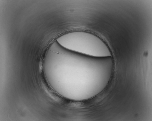 X0000116110069200911231004