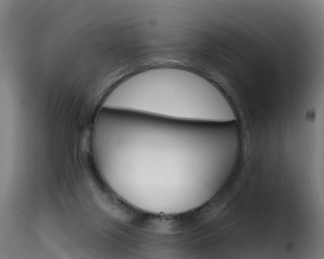 X0000116110071200911231004
