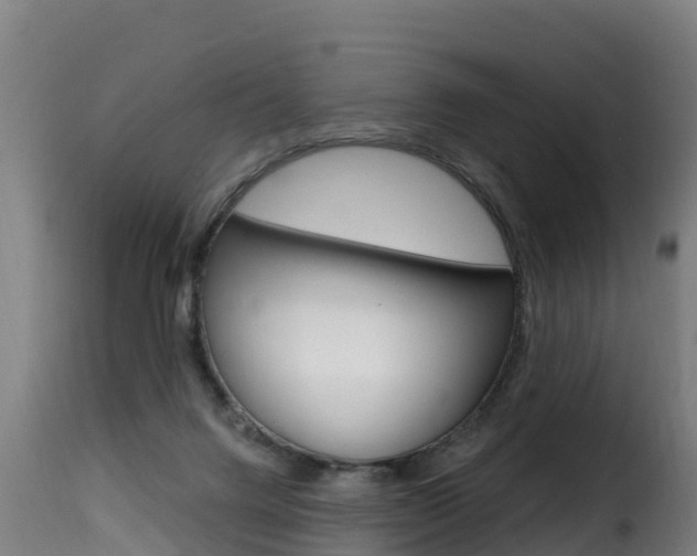 X0000116110072200911231004