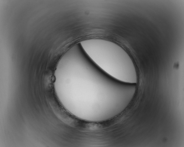 X0000116110073200911231004
