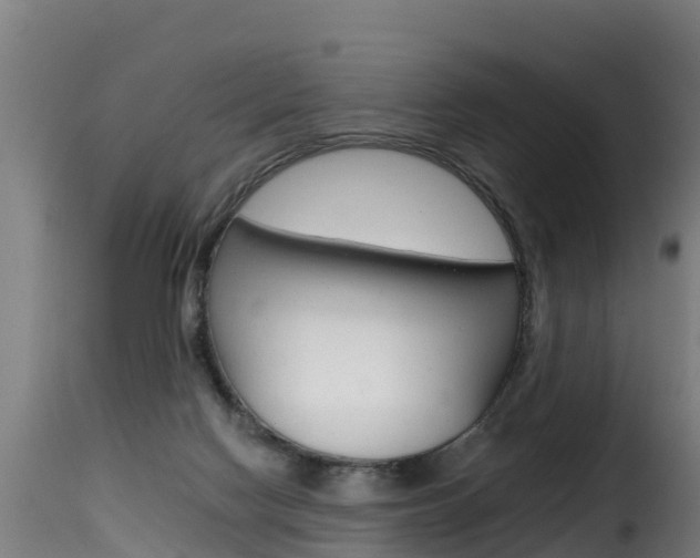 X0000116110074200911231005