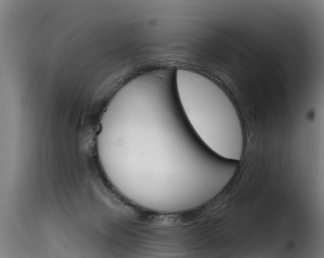 X0000116110077200911231005