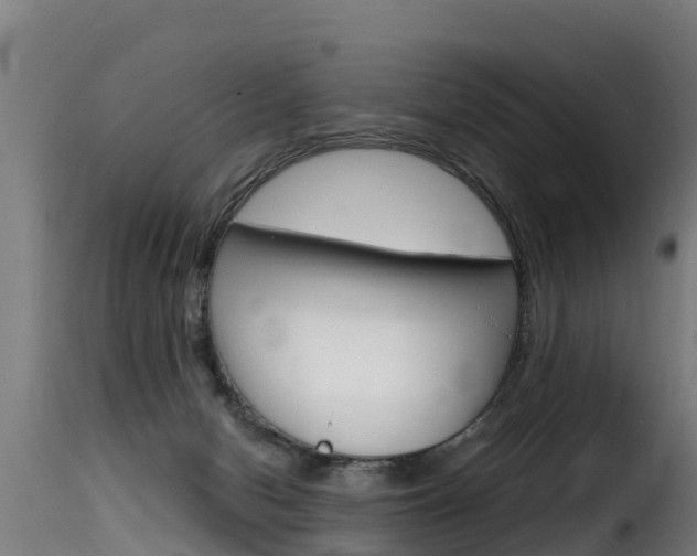 X0000116110078200911231005