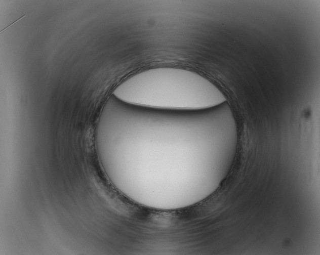 X0000116110079200911231005
