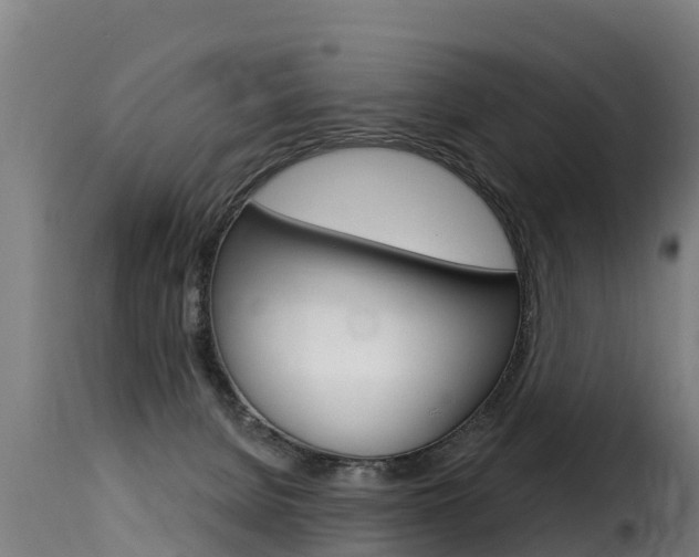 X0000116110080200911231005