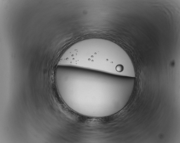 X0000116110082200911231005