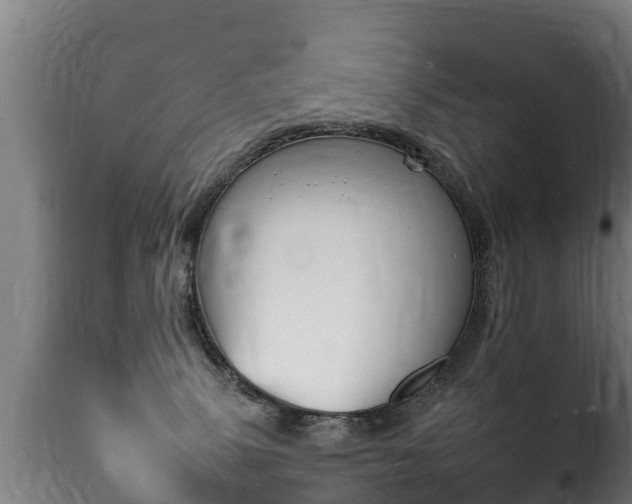 X0000116110083200911231005