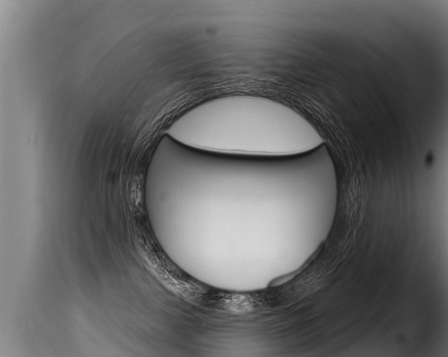 X0000116110091200911231005