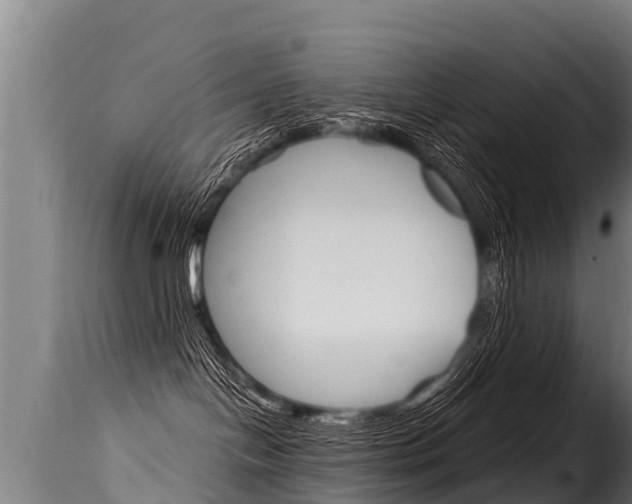 X0000116110094200911231005