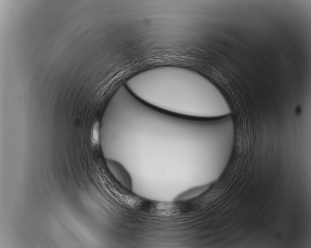 X0000116110095200911231005
