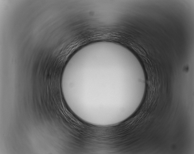 X0000116110096200911231005