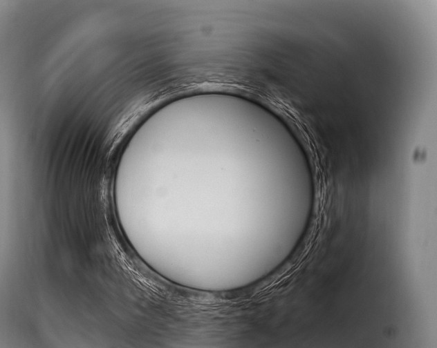 X0000116110098200911231004