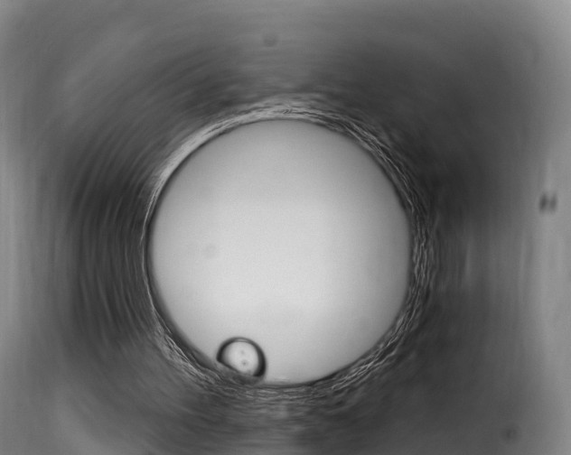 X0000116110100200911231004