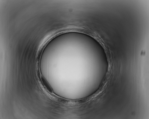 X0000116110101200911231004