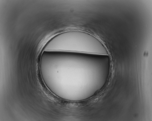 X0000116110103200911231004