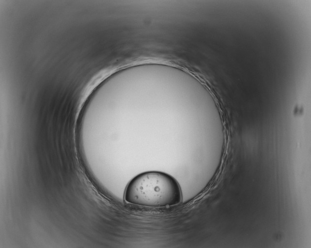 X0000116110104200911231004