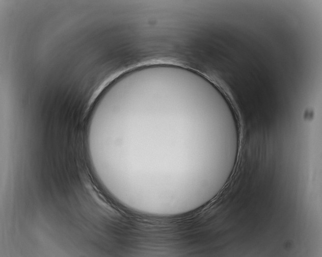 X0000116110108200911231004