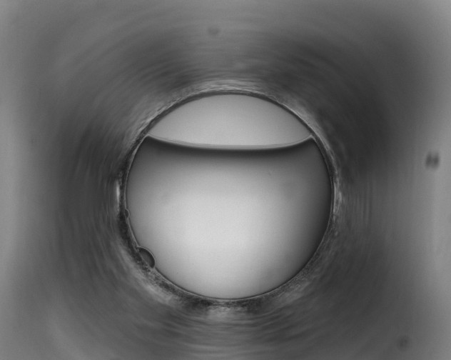 X0000116110109200911231004