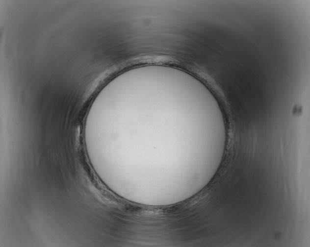 X0000116110110200911231004