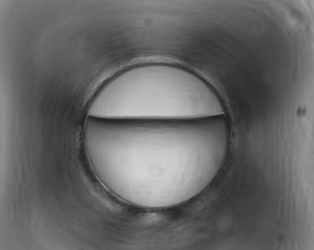 X0000116110111200911231004