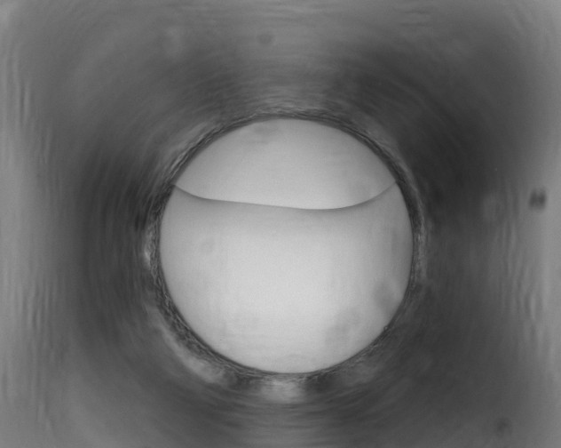 X0000116110114200911231004