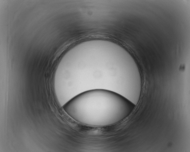 X0000116110116200911231004