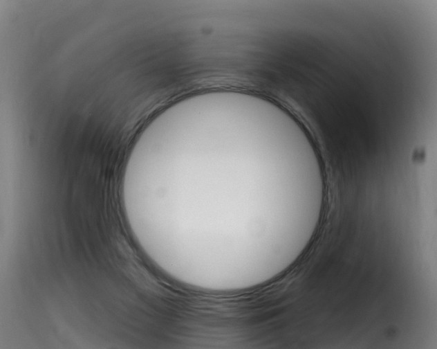 X0000116110117200911231004