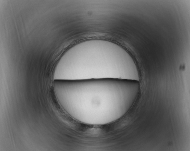 X0000116110119200911231004